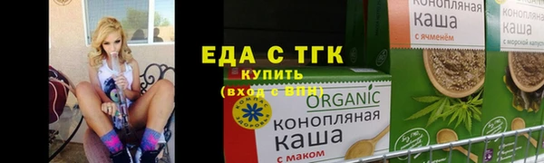 хмурый Магас