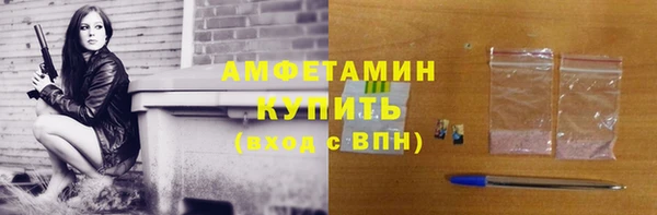 хмурый Магас
