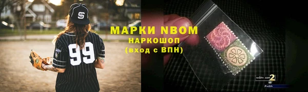 хмурый Магас