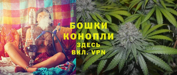 хмурый Магас