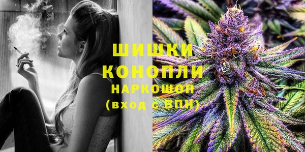 хмурый Магас