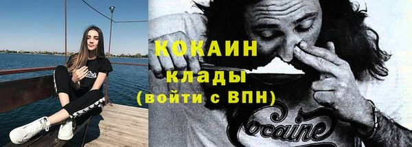 хмурый Магас