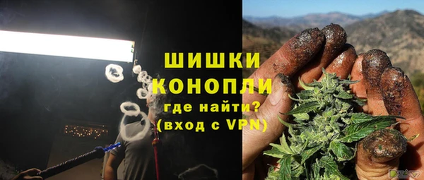 хмурый Магас