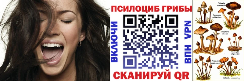Псилоцибиновые грибы мицелий  Сычёвка 